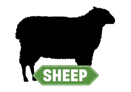 Sheep CS